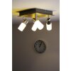 Trio CLAPTON Plafondlamp LED Aluminium, Chroom, roestvrij staal, 4-lichts