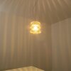 Hearst Hanglamp Chroom, 1-licht