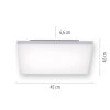 Paul Neuhaus Q-FRAMELESS Paneel LED Wit, 1-licht, Afstandsbediening, Kleurwisselaar