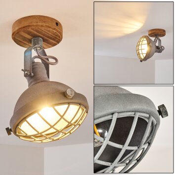 Onsala Plafondlamp Bruin, Grijs, 1-licht