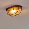 Catawba Plafondlamp Roest, 1-licht