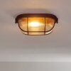 Catawba Plafondlamp Roest, 1-licht