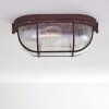 Catawba Plafondlamp Roest, 1-licht