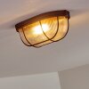 Catawba Plafondlamp Roest, 1-licht