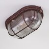 Catawba Plafondlamp Roest, 1-licht