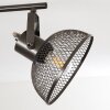 Oksevej Plafondlamp Zilver, 4-lichts