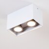 Awuna Plafondlamp Wit, 2-lichts