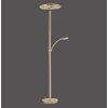 Paul Neuhaus MARTIN Staande lamp LED Messing, 1-licht