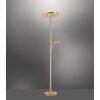 Paul Neuhaus MARTIN Staande lamp LED Messing, 1-licht