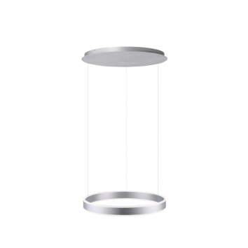 Paul Neuhaus ARINA Hanglamp LED roestvrij staal, 2-lichts, Bewegingsmelder