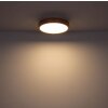 Globo WEDIO Plafondlamp LED, 1-licht, Afstandsbediening