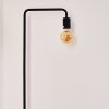 Valocolla Staande lamp Zwart, 1-licht