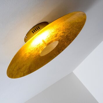 Nipissing Plafondlamp LED Goud, 1-licht
