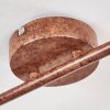 Lichinga Plafond straler Roest, 2-lichts