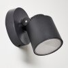 Apenrader Buiten muurverlichting LED Antraciet, 1-licht