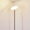 Wonsbek Staande lamp LED Nikkel mat, 1-licht