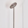 Wonsbek Staande lamp LED Nikkel mat, 1-licht