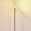 Wonsbek Staande lamp LED Nikkel mat, 1-licht