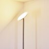 Wonsbek Staande lamp LED Nikkel mat, 1-licht