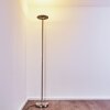 Wonsbek Staande lamp LED Nikkel mat, 1-licht
