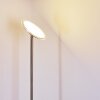 Wonsbek Staande lamp LED Nikkel mat, 1-licht