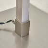 Soyo Staande lamp LED Nikkel mat, 1-licht