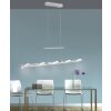Paul Neuhaus ILONA Hanglamp LED Chroom, 5-lichts