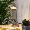 Shreveport Tafellamp LED Antraciet, Wit, 1-licht