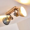 Orny Plafondlamp Grijs, 2-lichts