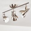 Tina Plafondlamp Nikkel mat, 3-lichts