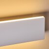 Obion Wandlamp LED Wit, 2-lichts