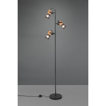 Trio Tosh Staande lamp LED Zwart, 3-lichts
