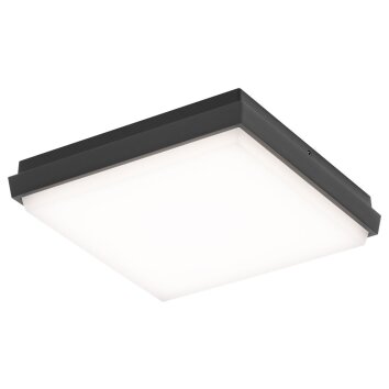 LCD TYP 5060 Buitenshuis plafond verlichting LED Zwart, 1-licht