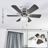 Trillo plafondventilator Grijs, Hout licht, Nikkel mat, 1-licht