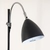 Murureta Staande lamp Zwart, 1-licht