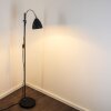 Murureta Staande lamp Zwart, 1-licht