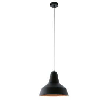 Eglo SOMERTON Hanger Koperkleurig, Zwart, 1-licht