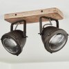 Glostrup Plafondlamp Bruin, roestvrij staal, 2-lichts