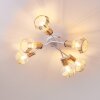 Barbacena Plafondlamp Wit, 6-lichts