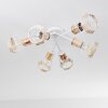 Barbacena Plafondlamp Wit, 6-lichts