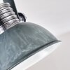 Gudo Plafondlamp Grijs, Zilver, 2-lichts