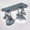 Gudo Plafondlamp Grijs, Zilver, 2-lichts