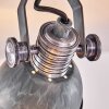 Gudo Plafondlamp Grijs, Zilver, 2-lichts